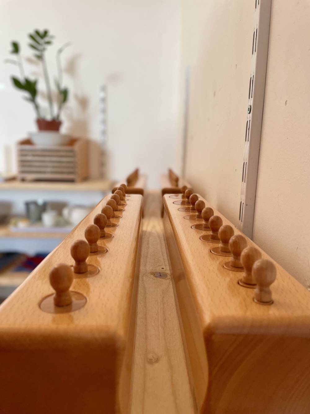 Ecole Montessori Chrysalides (15)