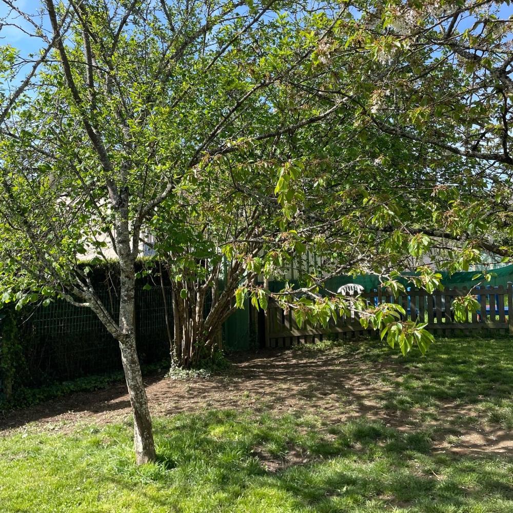 Jardin (4)